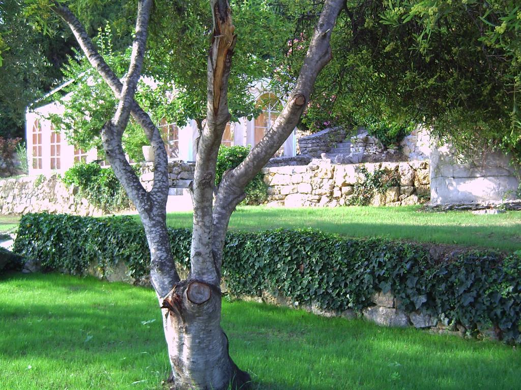 Domaine Du Mont Leuze Vila Villefranche-sur-Mer Exterior foto